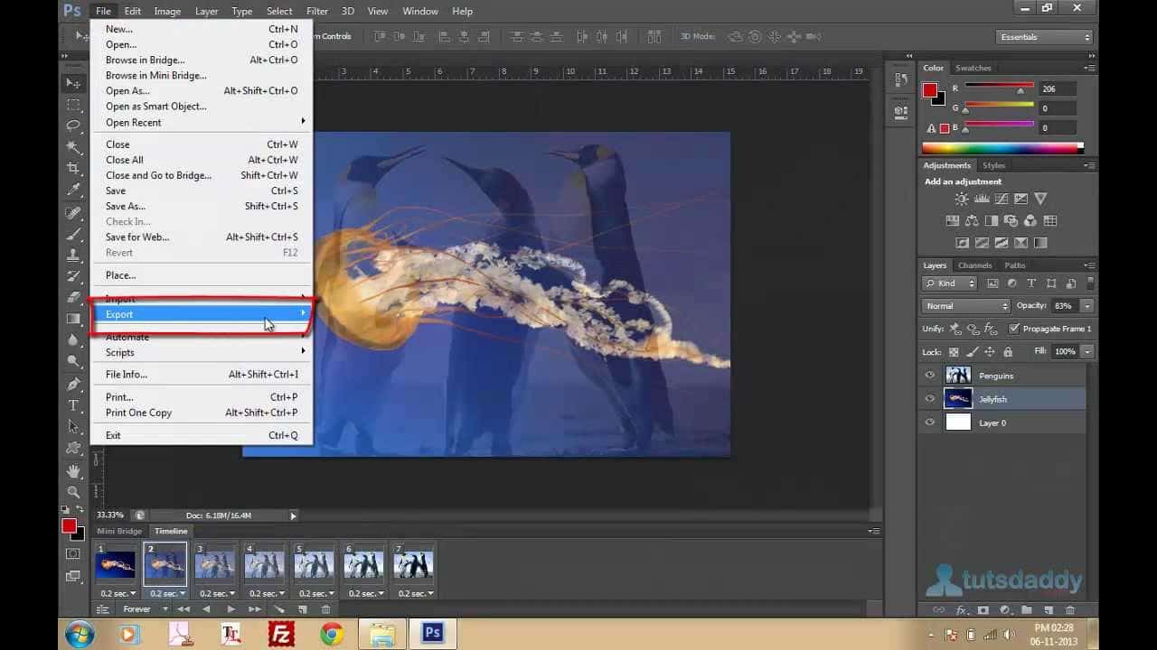 Creating Animated GIFs